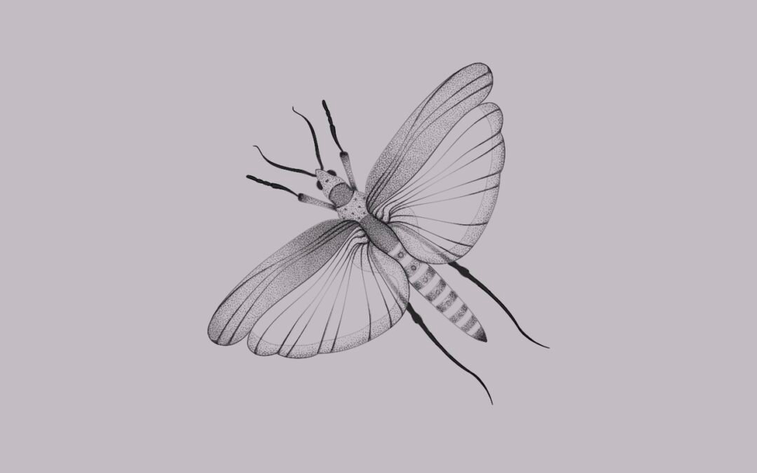Grasshopper