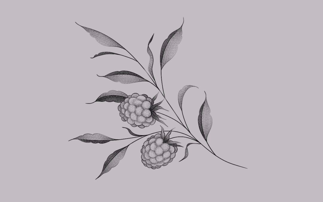 Raspberry branch