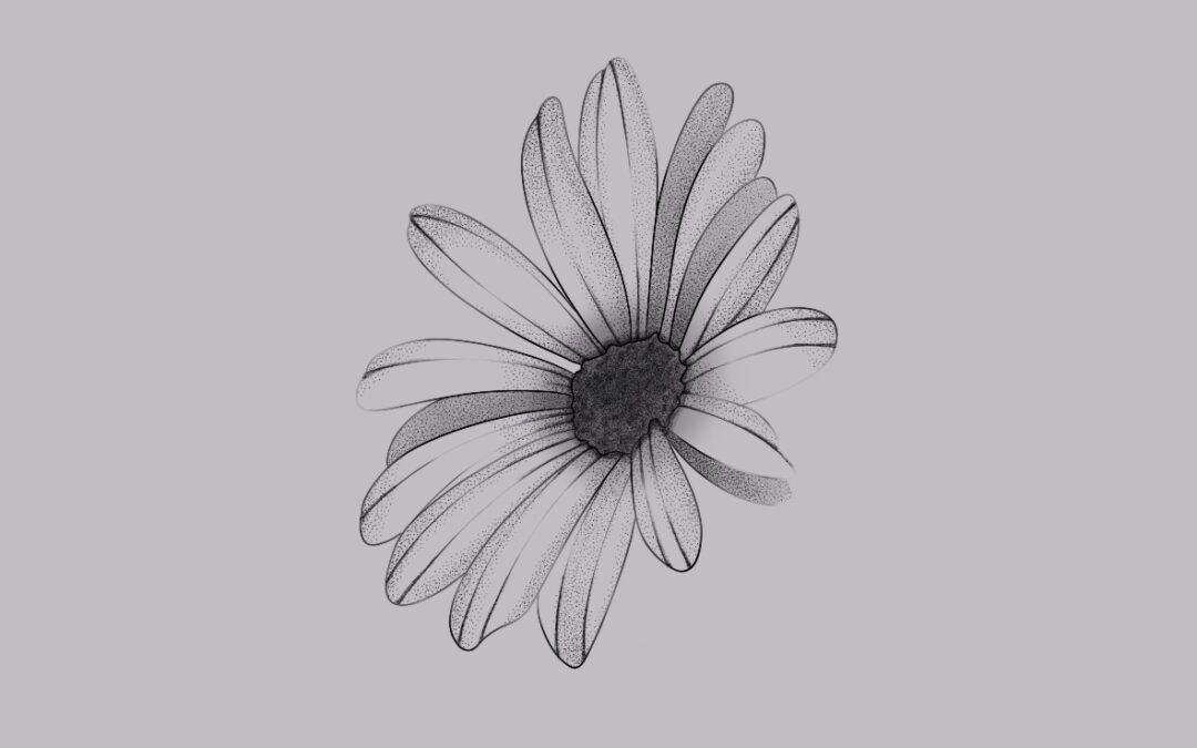 A fine line tattoo flash design of a small aster flower with delicate shading