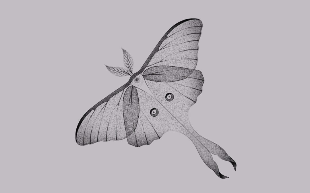 A fine line tattoo flash design of a luna moth with delicate shading