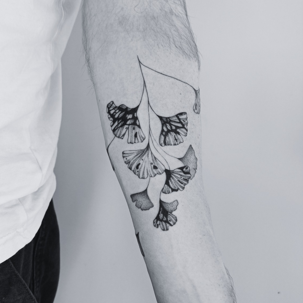 a photograph of a fine line tattoo of a gingko leaves branch by Marta Tattoos