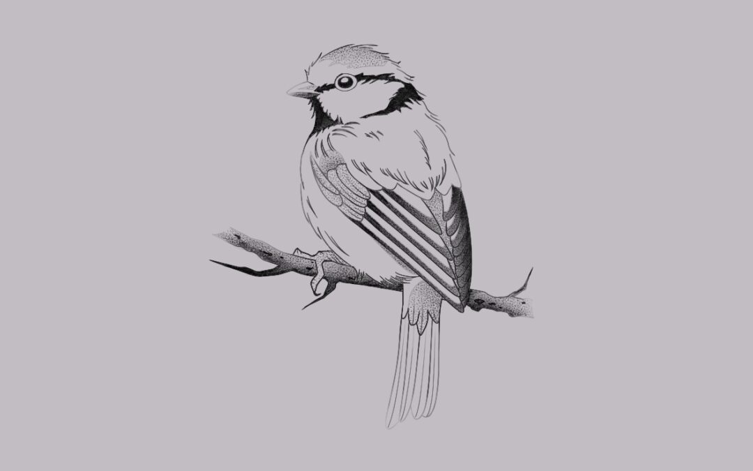 A fine line, delicate tattoo design of a small bird