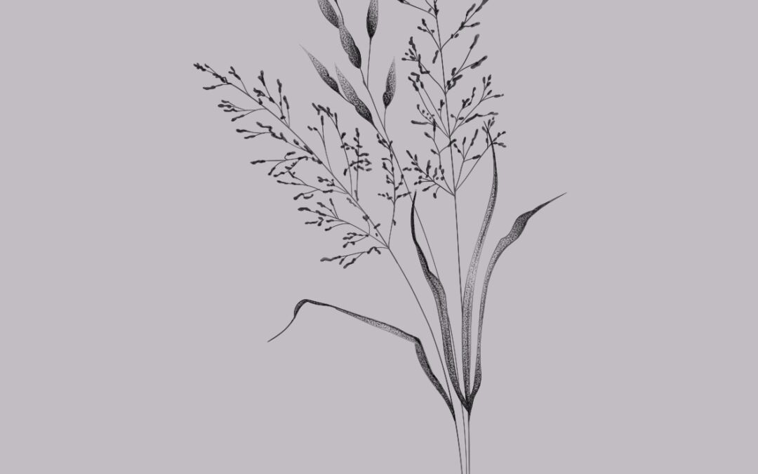 A fine line, delicate tattoo design of grasses