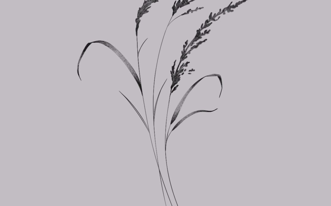 A fine line, delicate tattoo design of grasses
