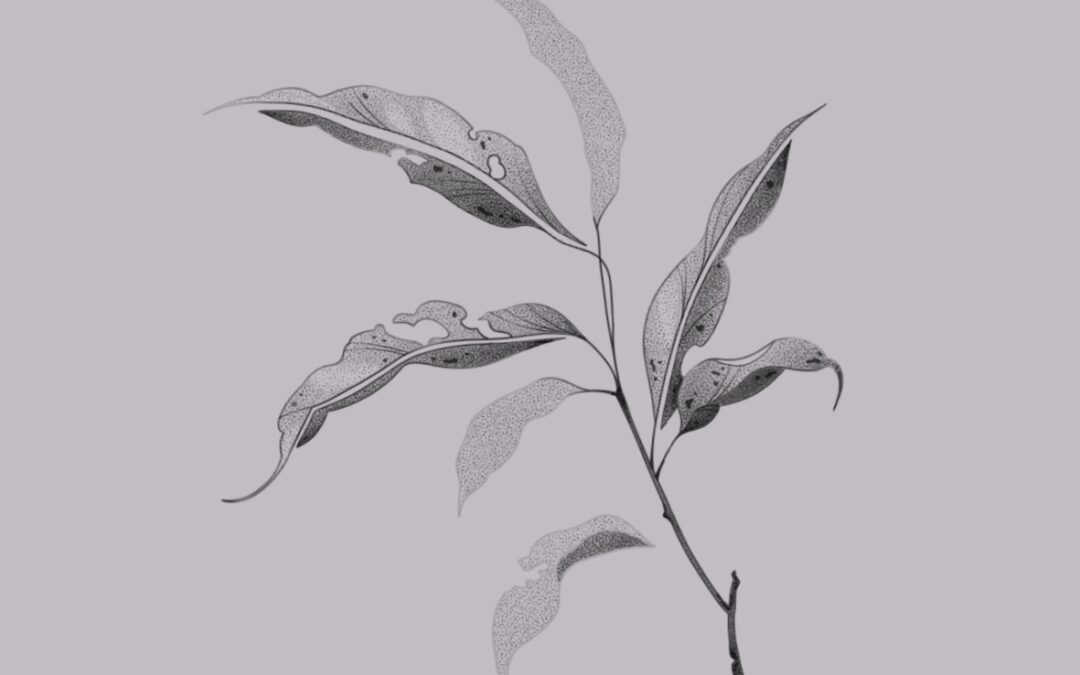 A fine line, delicate tattoo design of a branch with leaves