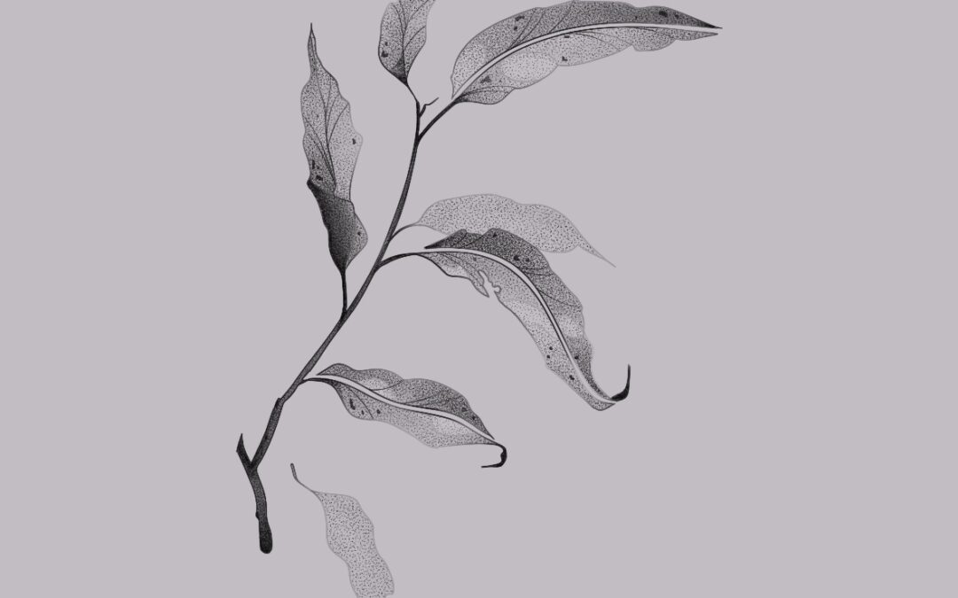 A fine line, delicate tattoo design of a branch with leaves