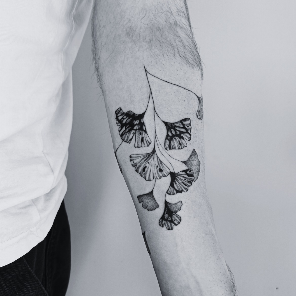 Blog image_20260105_140038_0000 a fine-line tattoo of an infected gingko branch by marta tattoos