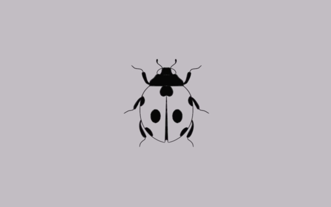 Small tattoo desing of a ladybird