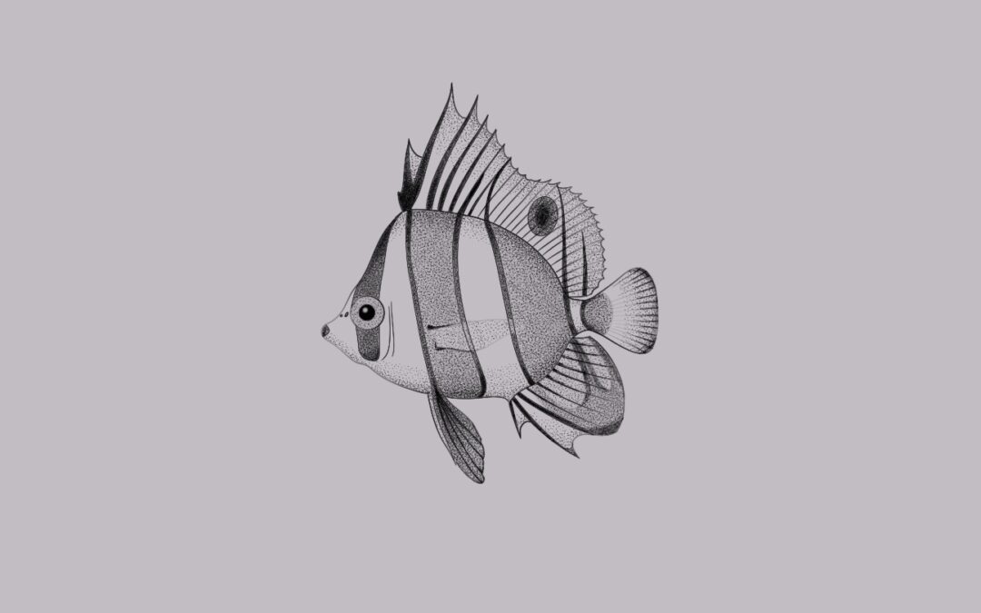 Butterflyfish