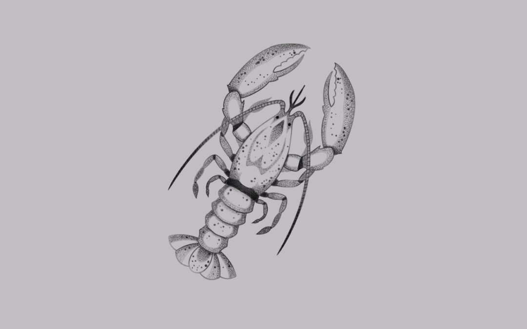Lobster