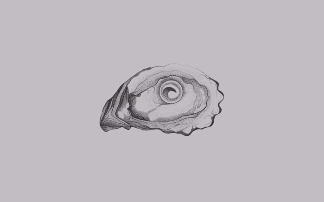 Oyster #2
