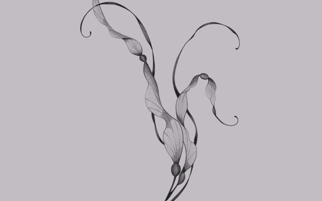 Sea kelp #2