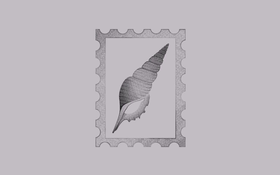 Seashell stamp #1