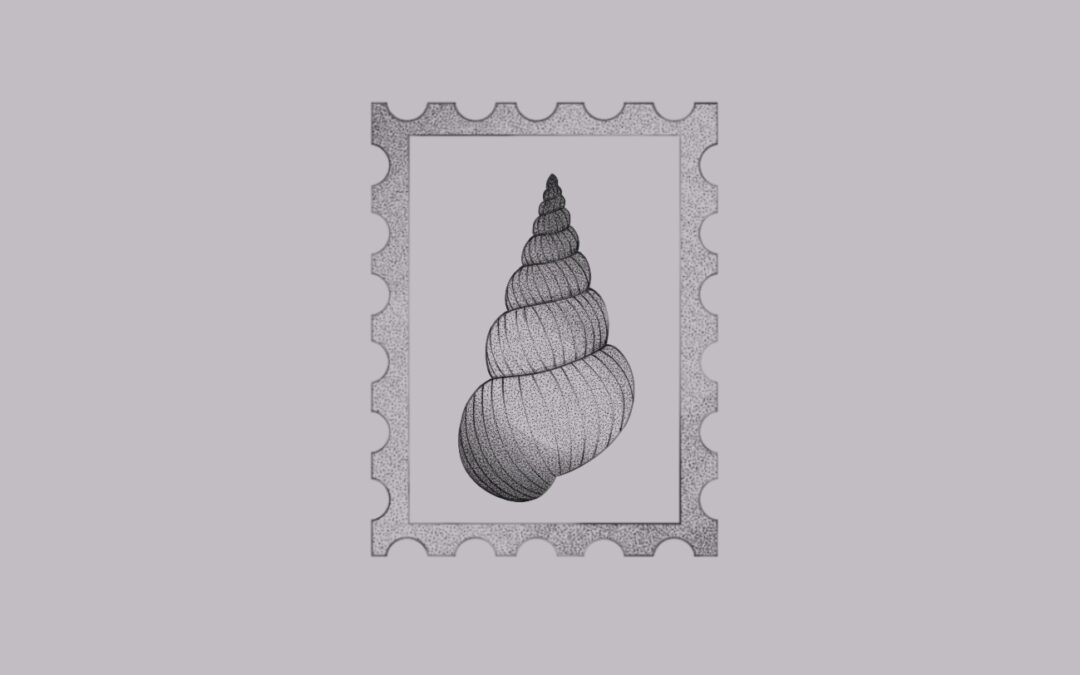 Seashell stamp #2