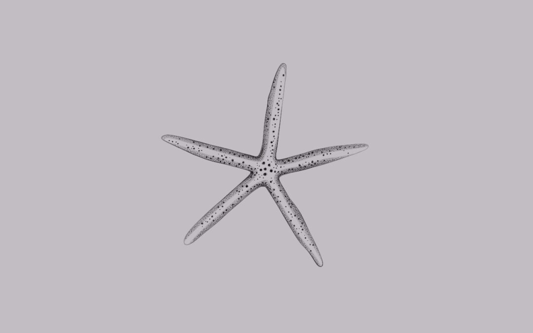 A fine line, delicate tattoo design of a Starfish